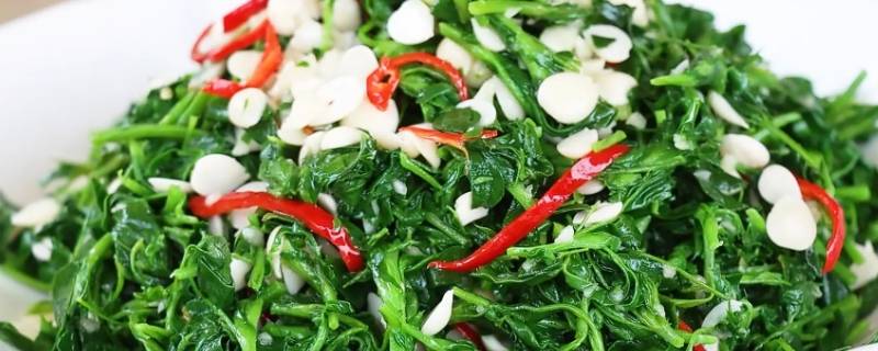 小苜蓿怎么吃 小苜蓿怎么吃好吃