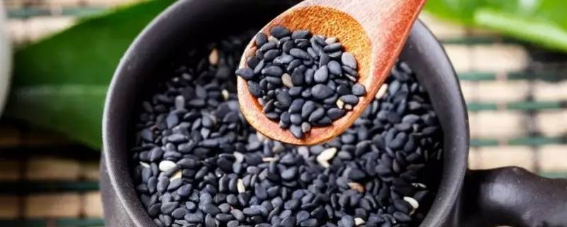 黑色的食物有什么（黑色的食物有什么英语）