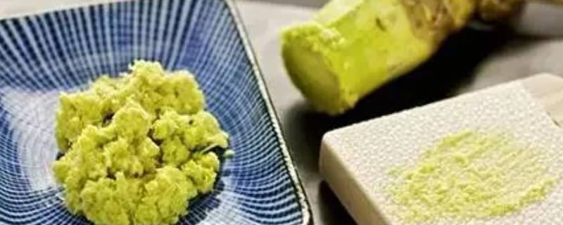 芥末膏怎么调成蘸汁（芥末膏蘸料怎么调）