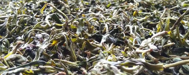 曼松属于哪个茶区（中茶曼松是曼松古树茶吗）