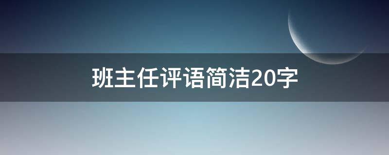 班主任评语简洁20字（班主任评语简洁20字高中男生）