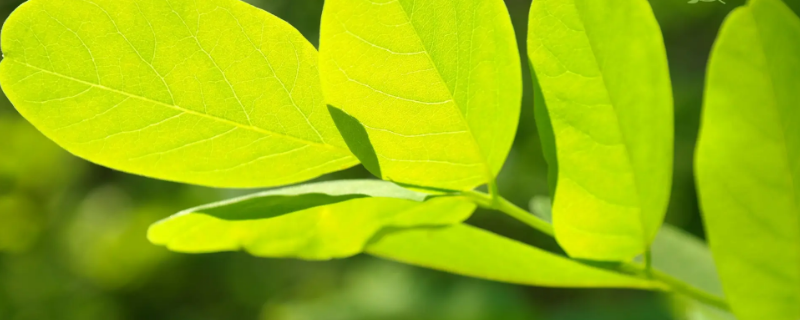 四月在古代被称为什么 四月在古代被称为什么节