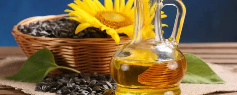 送礼为什么不能送油 送礼为什么不能送油画