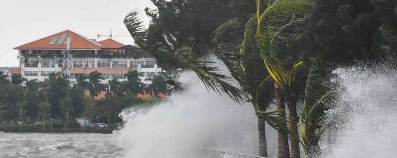 十级台风是什么程度 台风10级是什么程度