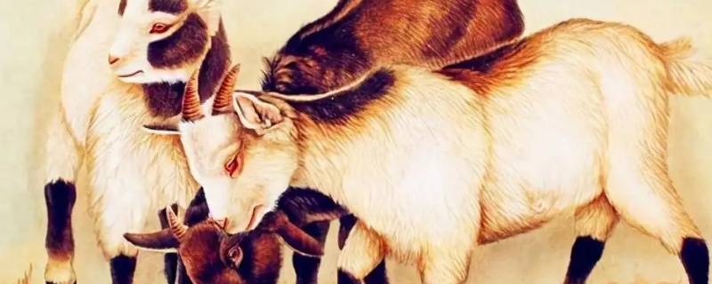 中西合璧开过什么生肖 中西和中西合璧打一生肖