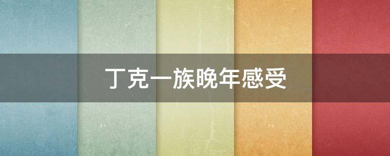 丁克一族晚年感受（丁克一族晚年感受视频）
