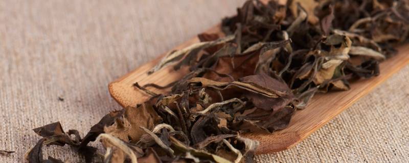 白牡丹和寿眉的区别（白牡丹和寿眉的功效一样吗）