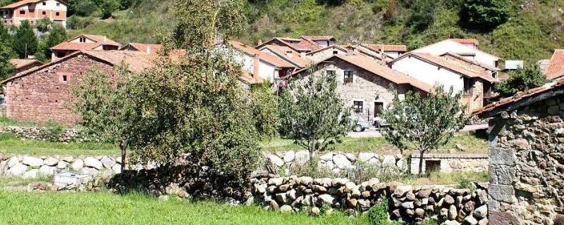 贫困村的识别标准是（贫困村的识别标准是一高一低一没有）