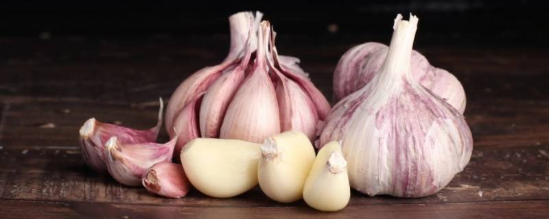 大蒜和芒果能一起吃吗（大蒜和芒果能一起吃吗宝宝）