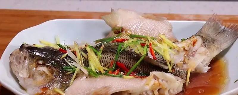 黑鱼的家常做法简单 黑鱼的家常做法简单方便