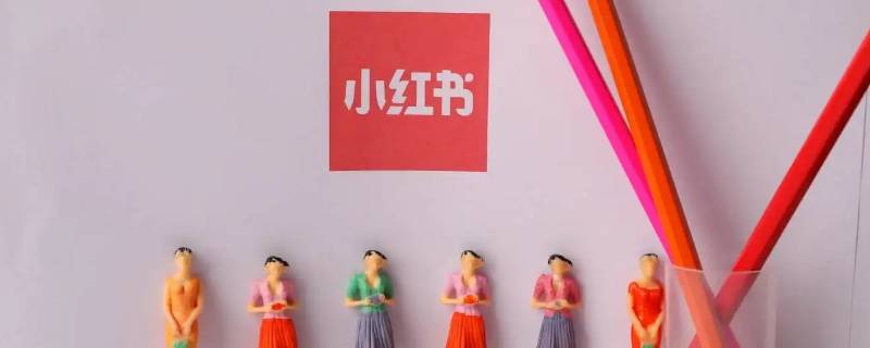 小红有访客记录吗（小红有访客记录吗是真的吗）