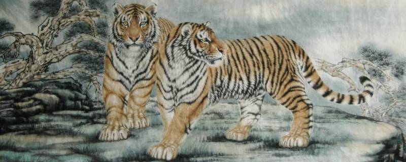 司马懿大战孔明打一生肖 司马懿大战孔明猜生肖