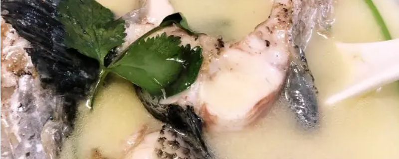 手术清炖黑鱼汤的做法 手术后清炖黑鱼煲汤的做法