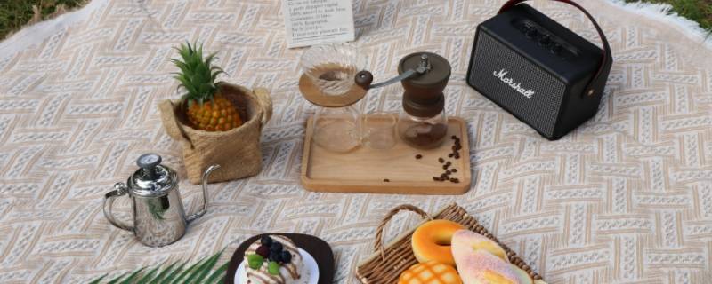 野餐没有野餐布怎么办（野餐用的布）