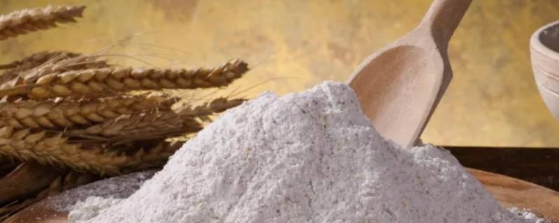 全麦粉发面为啥发不起来 为什么全麦粉发不起来