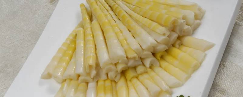 竹笋草酸含量高吗（竹笋草酸含量高吗百度百科）