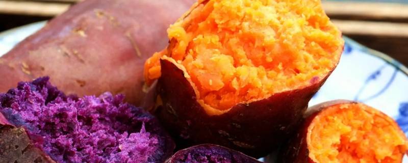 煮红薯和蒸红薯的区别 煮红薯和蒸红薯的区别在哪里