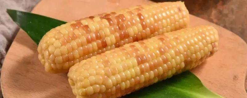 一根糯玉米可食用部分的热量（两根糯玉米的热量是多少）