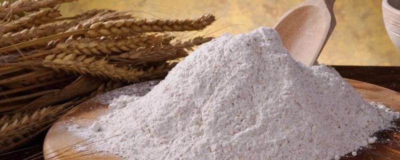 低筋面粉和普通面粉（低筋面粉和普通面粉可以代替么）