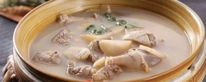 老鸭汤窍门（老鸭汤食材窍门）