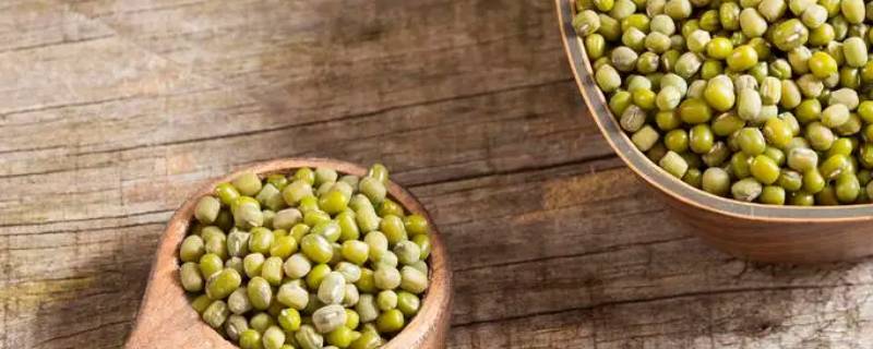 绿豆的一生要经历哪几个阶段 绿豆的成长经历