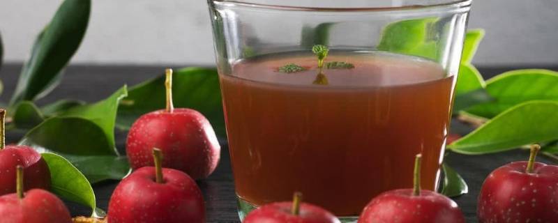 山楂玫瑰蜂蜜膏的做法 山楂玫瑰蜂蜜膏的做法窍门