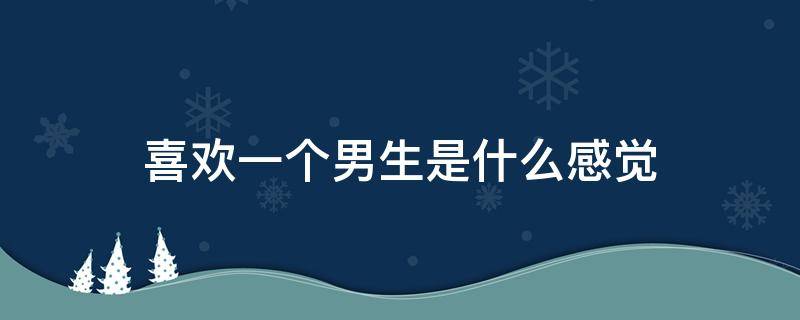 喜欢一个男生是什么感觉（喜欢一个男生是什么感觉,还是只是朋友）