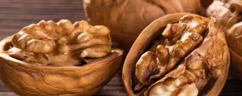 什么食物是硬邦邦的 有什么食物是硬邦邦的