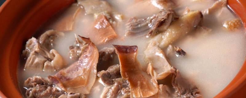 鸡肉跟墨鱼煲汤可以吃吗 墨鱼炖鸡可以吃吗