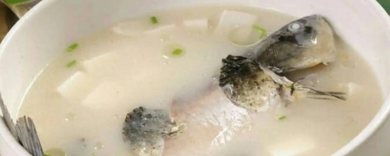 鲫鱼汤窍门（鲫鱼汤技巧）