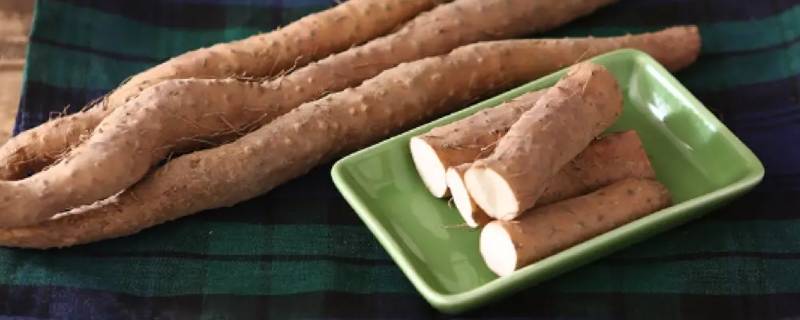 铁棍山药有几种吃法（铁棍山药有几种吃法图片）