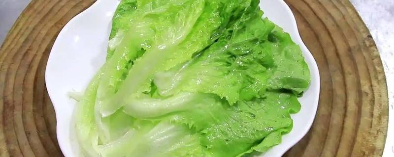 为何都说生菜不能吃 生菜不可以吃吗