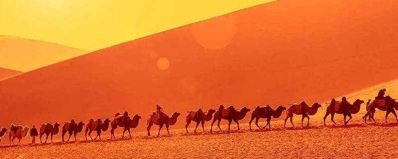 丝绸之路打一数字（丝绸之路打一数字打几）