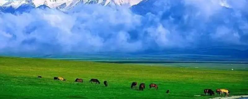 为什么叫新疆生产建设兵团（新疆为啥要叫新疆生产建设兵团）