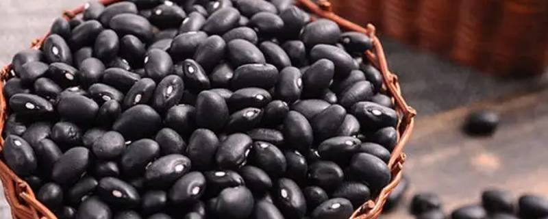 黑豆要蒸多久才会熟 黑豆蒸20分钟能熟吗
