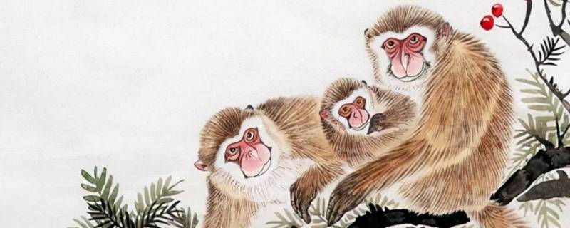 傀儡打一生肖（傀儡是指哪个生肖）