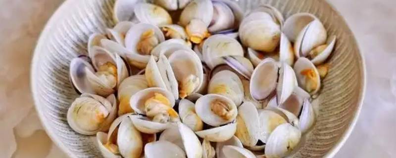 蛤蜊蒸多久（蛤蜊蒸多久?）