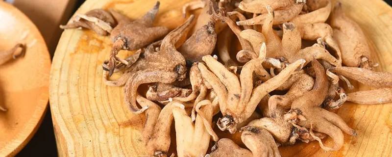 旺拉是什么 青海旺拉是什么