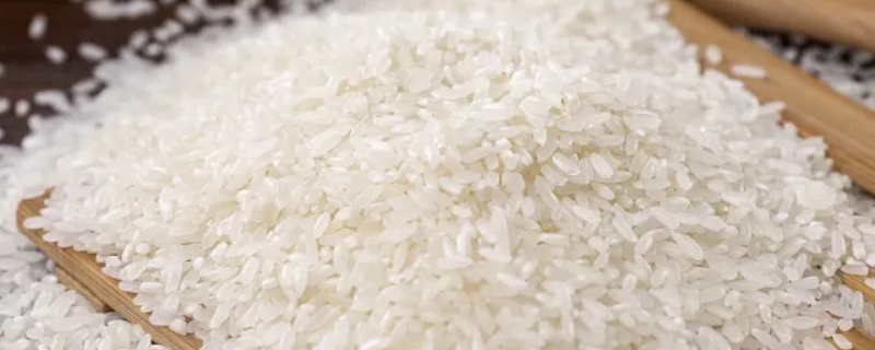 大米宽约2什么单位（一粒大米宽约2什么单位）