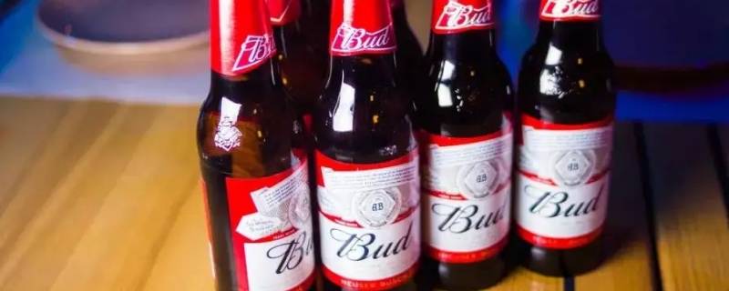 百威一般人能喝几瓶 百威能喝6瓶怎么样