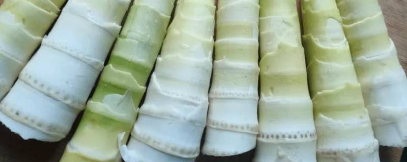 真空包装竹笋能放多久