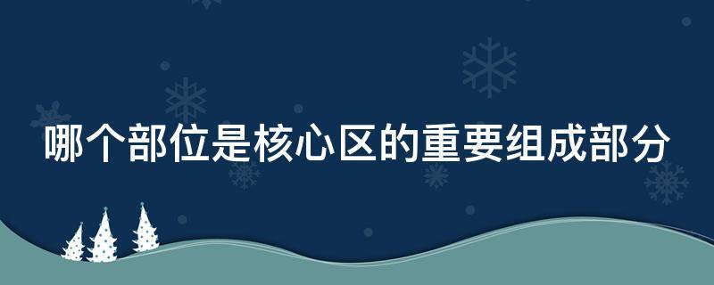 哪个部位是核心区的重要组成部分 核心部位是指哪里