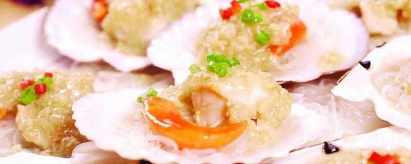 带子和扇贝的区别（带子和扇贝的区别在哪）