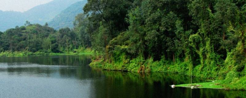 简述环境的四大基本功能的内涵（简述环境的主要功能）