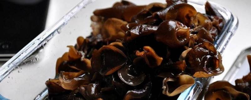 泡发木耳热量 泡发木耳热量多少