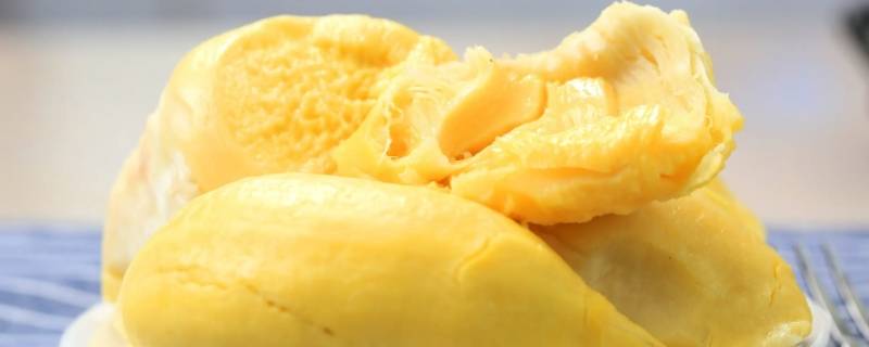 大象榴莲和金枕榴莲区别（大象榴莲和金枕榴莲区别在哪）