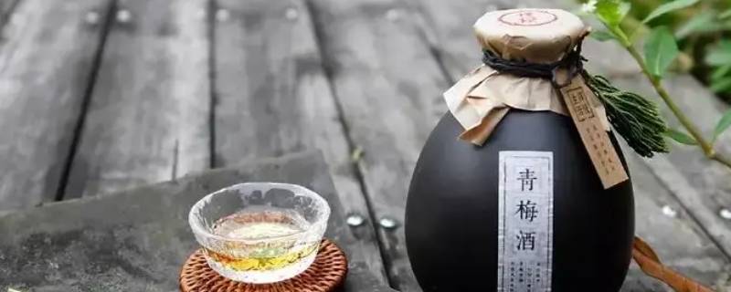青梅酒做法比例 青梅酒的做法及比例