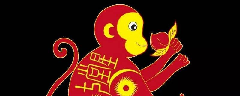 田字打一生肖正确（田字出头猜生肖）