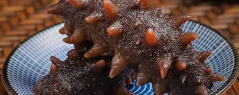 海参多少钱一斤市场价2022 新鲜海参多少钱一斤市场价2022