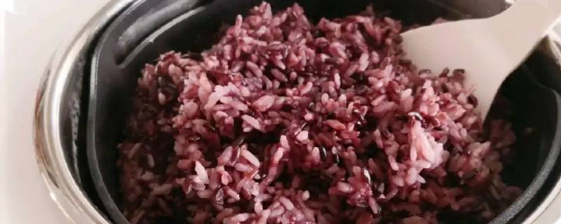 黑米怎么煮（黑米怎么煮好吃又营养）